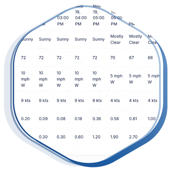 Hourly Forecast